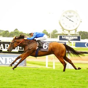 Image post by @australianturfclub on Instagram