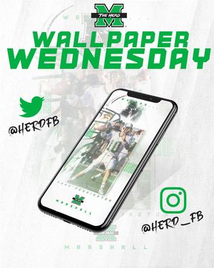 Image post by @herd_fb on Instagram