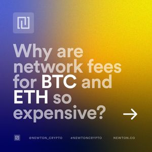 Image post by @newton_crypto on Instagram