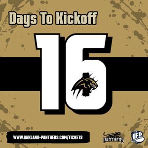 Image post by @panthersifl on Instagram