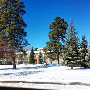 Image post by @nauflagstaff on Instagram