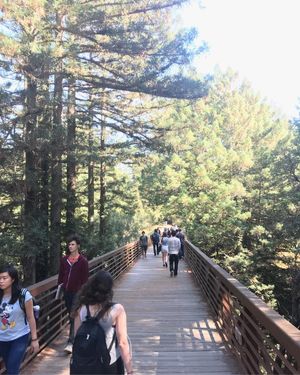 Image post by @ucsc on Instagram