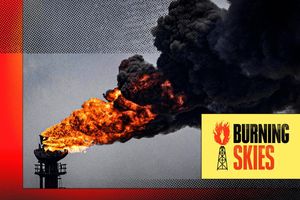 Image post by @Greenpeace on Twitter/X