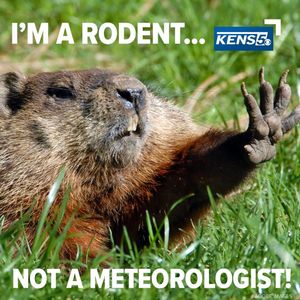 Image post by @kens5 on Instagram