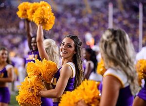 Image post by @lsutigergirls on Instagram