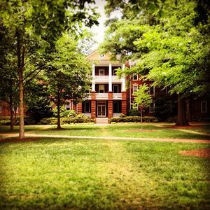 Image post by @elonuniversity on Instagram