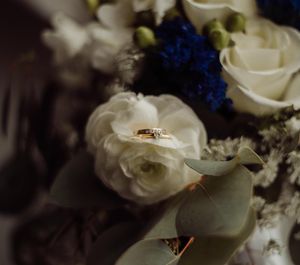 Image post by @sydneybphotography on Instagram