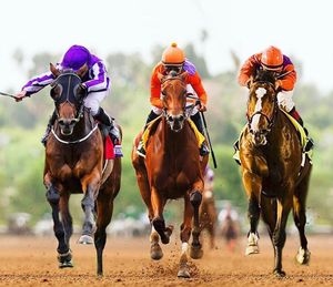Image post by @spendthriftfarm on Instagram