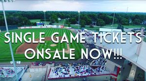 Image post by @burlington_bees on Instagram
