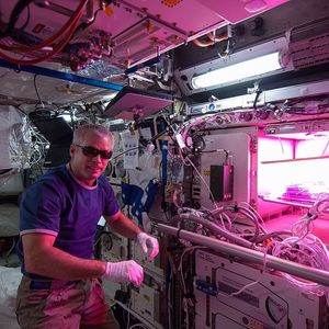 Image post by @nasa on Instagram