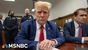 Video post by @msnbc on YouTube