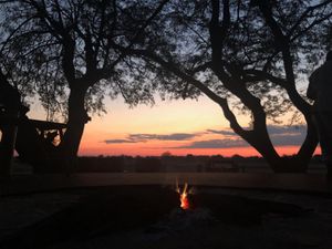 Image post by @chiawasafaris on Instagram