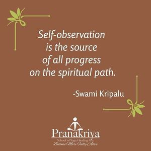 Image post by @pranakriya on Instagram