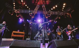 Image post by @treefortfest on Instagram