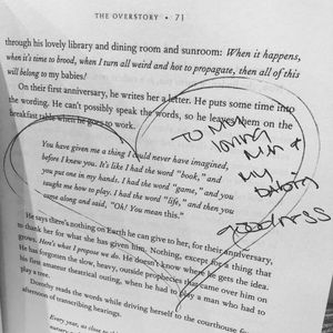 Image post by @kerrileewalsh on Instagram