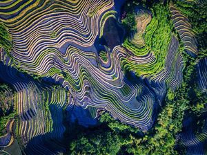 Image post by @discovery on Instagram