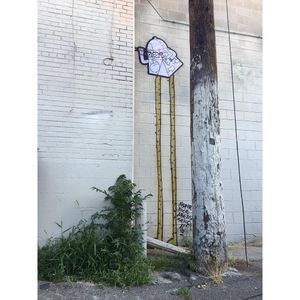 Image post by @chrishaven on Instagram