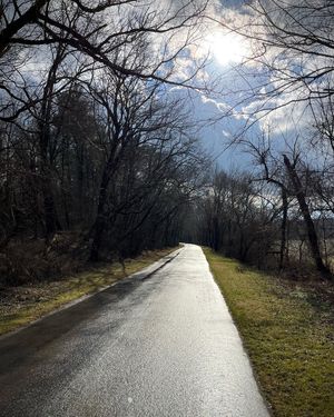 Image post by @sidhastings on Instagram
