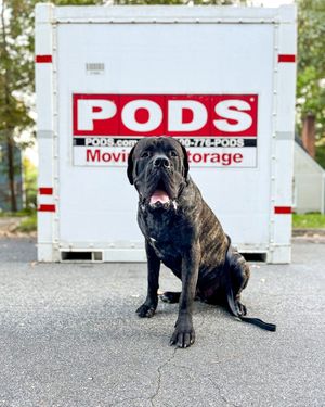 Image post by @podsofficial on Instagram