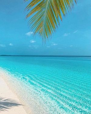 Image post by @travelgardi on Instagram