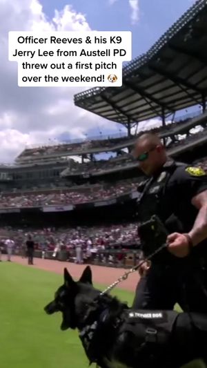 Video post by @braves on TikTok