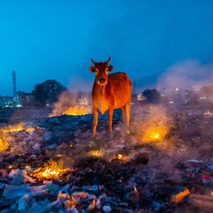Image post by @natgeo on Instagram