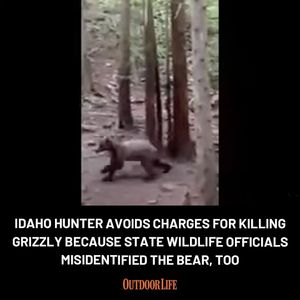 Image post by @outdoor_life on Instagram