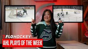 Video post by @flohockey on YouTube
