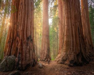 Image post by @nationalparkspartnership on Instagram