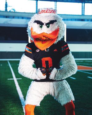 Image post by @um_sebastian on Instagram