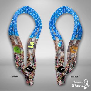 Image post by @sidewallzlacrosse on Instagram