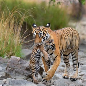 Image post by @discovery on Instagram