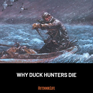 Image post by @outdoor_life on Instagram