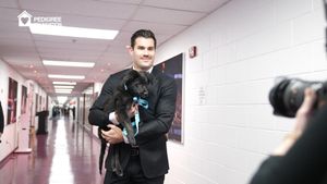 Image post by @Capitals on Facebook