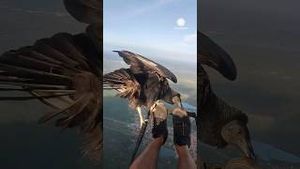 Video post by @accuweather on YouTube