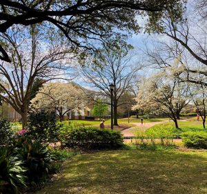 Image post by @uofsc on Instagram