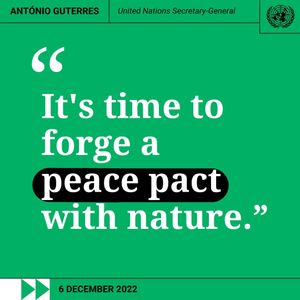 Image post by @unitednations on Instagram