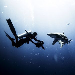 Image post by @discovery on Instagram