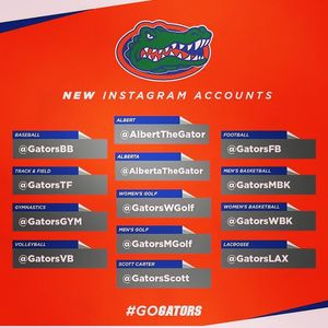 Image post by @gatorsgym on Instagram