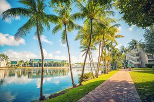 Image post by @univmiami on Instagram