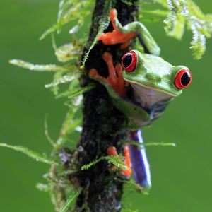Image post by @discovery on Instagram