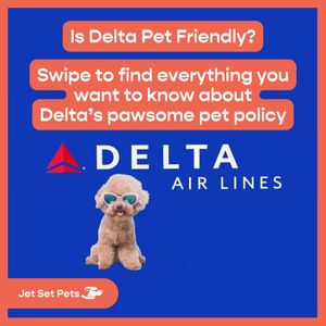 Image post by @jetsetpets on Instagram