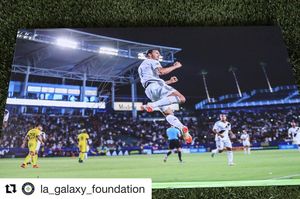 Image post by @aegworldwide on Instagram
