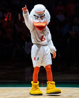 Image post by @um_sebastian on Instagram