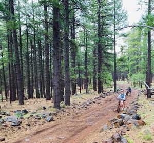 Image post by @nauflagstaff on Instagram