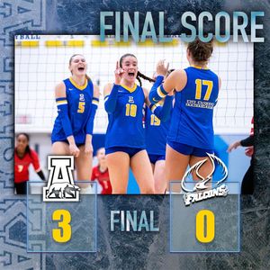 Image post by @nanooksvb on Instagram