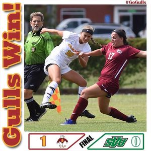 Image post by @suseagulls on Instagram