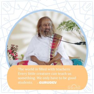 Image post by @artoflivingusa on Instagram