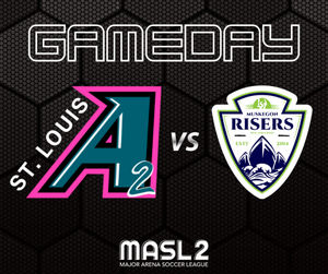 Image post by @stlouisambush on Instagram