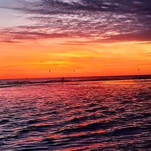 Image post by @visitsarasotacounty on Instagram